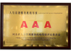 人力資源服務機構(gòu)等級證書AAA